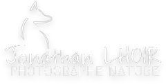 Jonathan Lhoir - Photographe Nature
